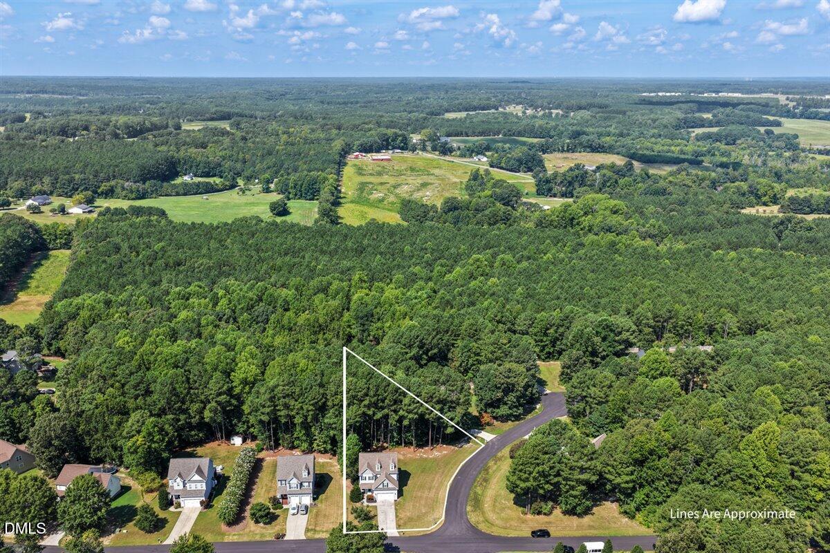 Exterior photo of 165 Willow Ridge Drive, Louisburg, NC 27549. MLS: 10187688