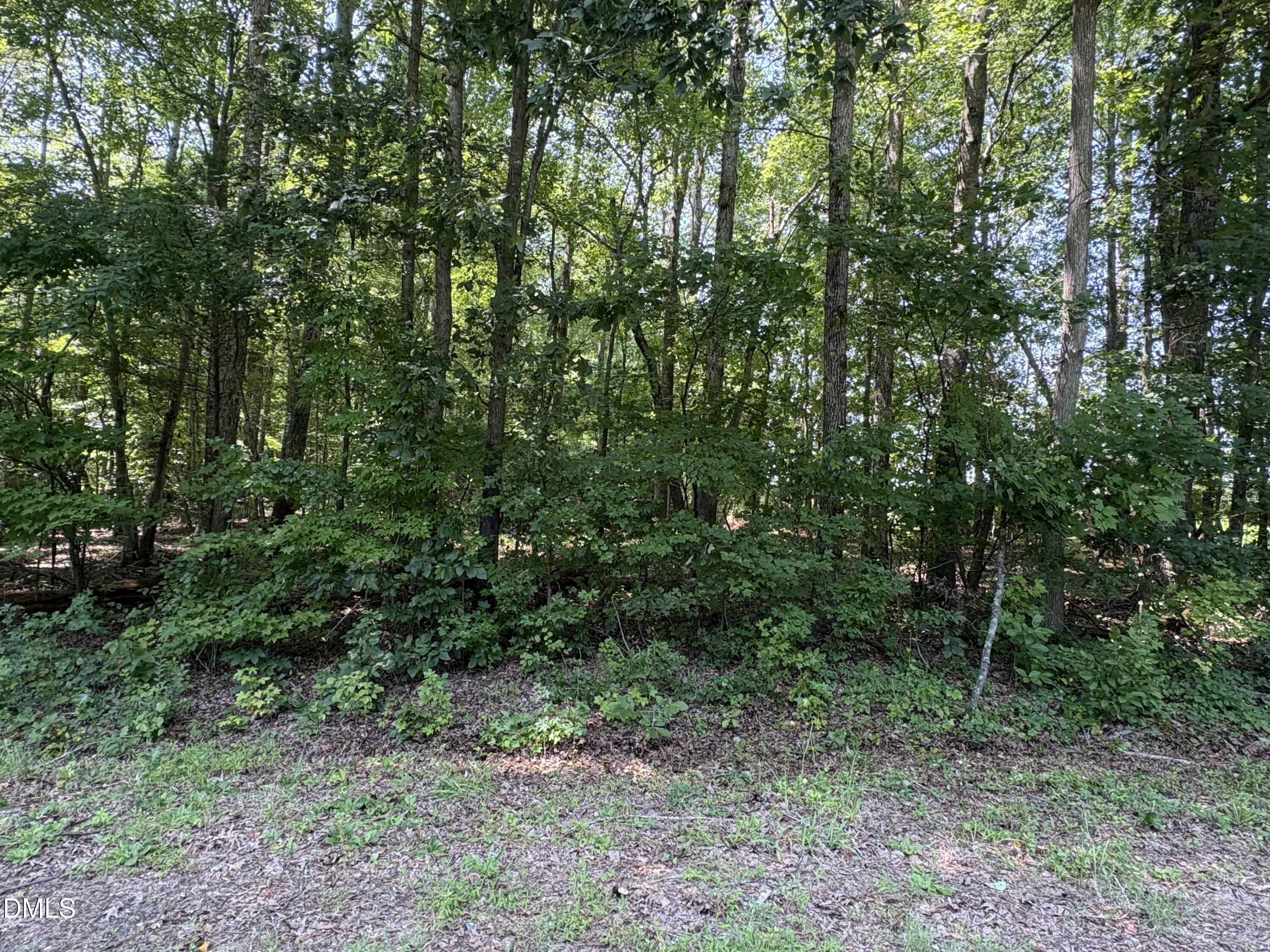 Exterior photo of Lot 1 Sams Road, Mebane, NC 27302. MLS: 10187716