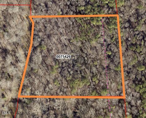 parcel 75426 Gis 2023 aerial