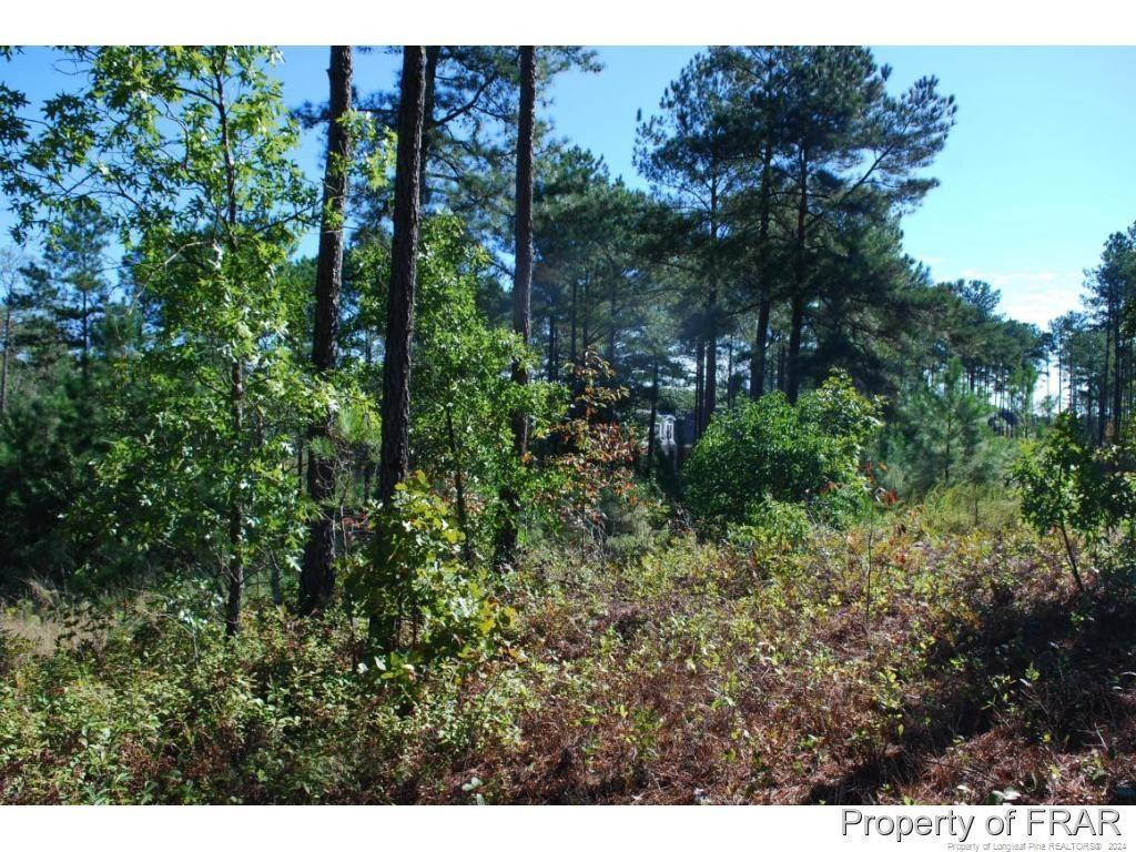 Exterior photo of 152 Broadlake (635) Lane, Spring Lake, NC 28390. MLS: 734552