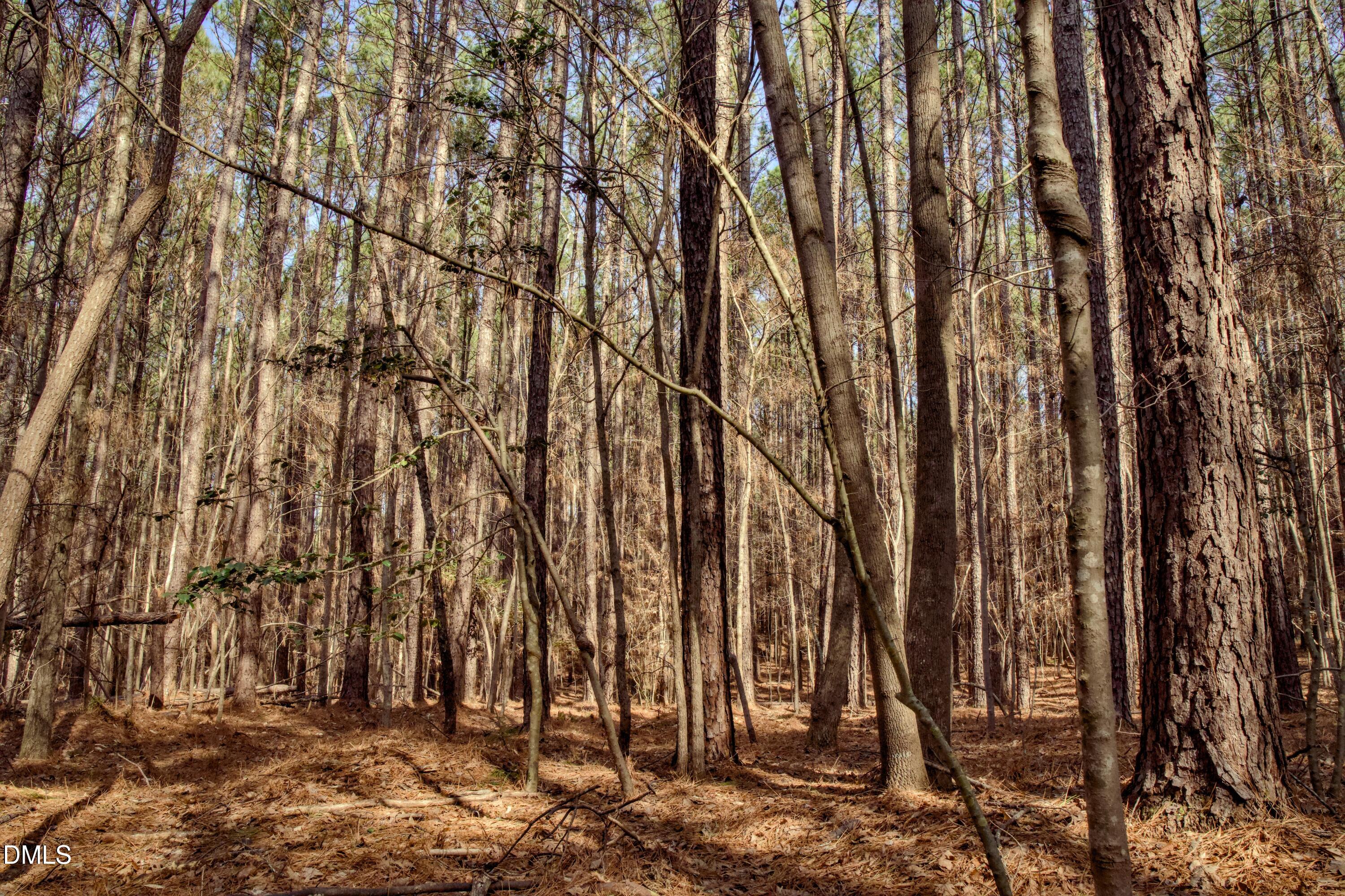 Exterior photo of 7023 Southern Trail, Chapel Hill, NC 27516. MLS: 10175961