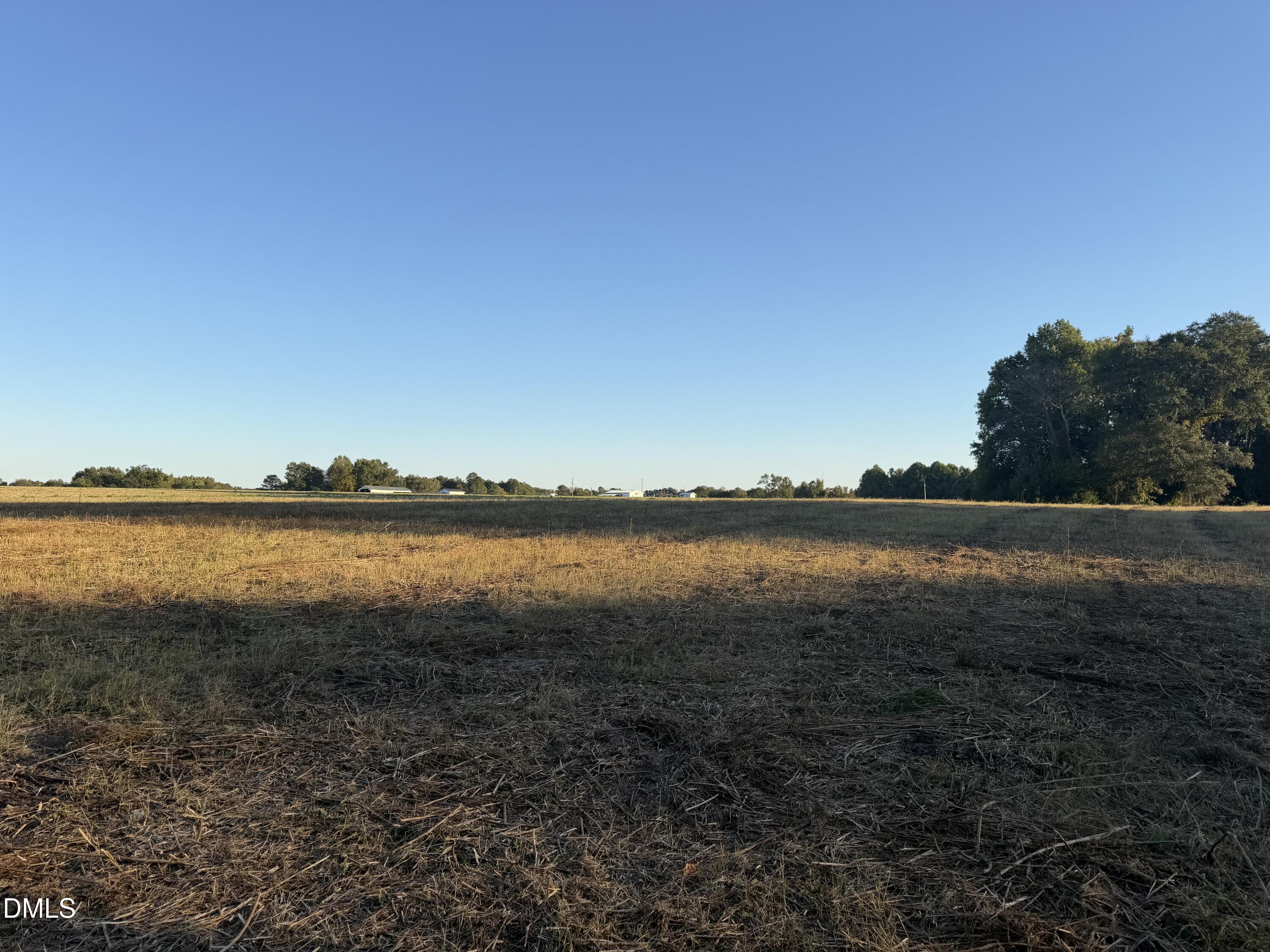 land view