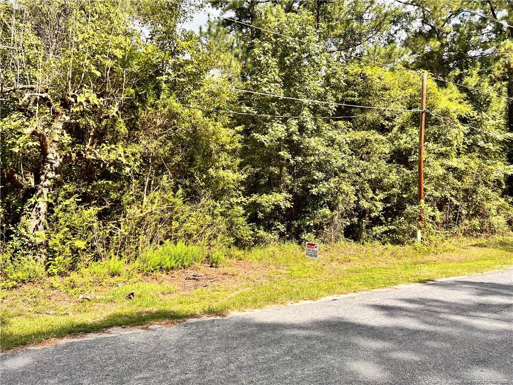 Exterior photo of 8061 S Green Acres Road, Laurinburg, NC 28352. MLS: 749230