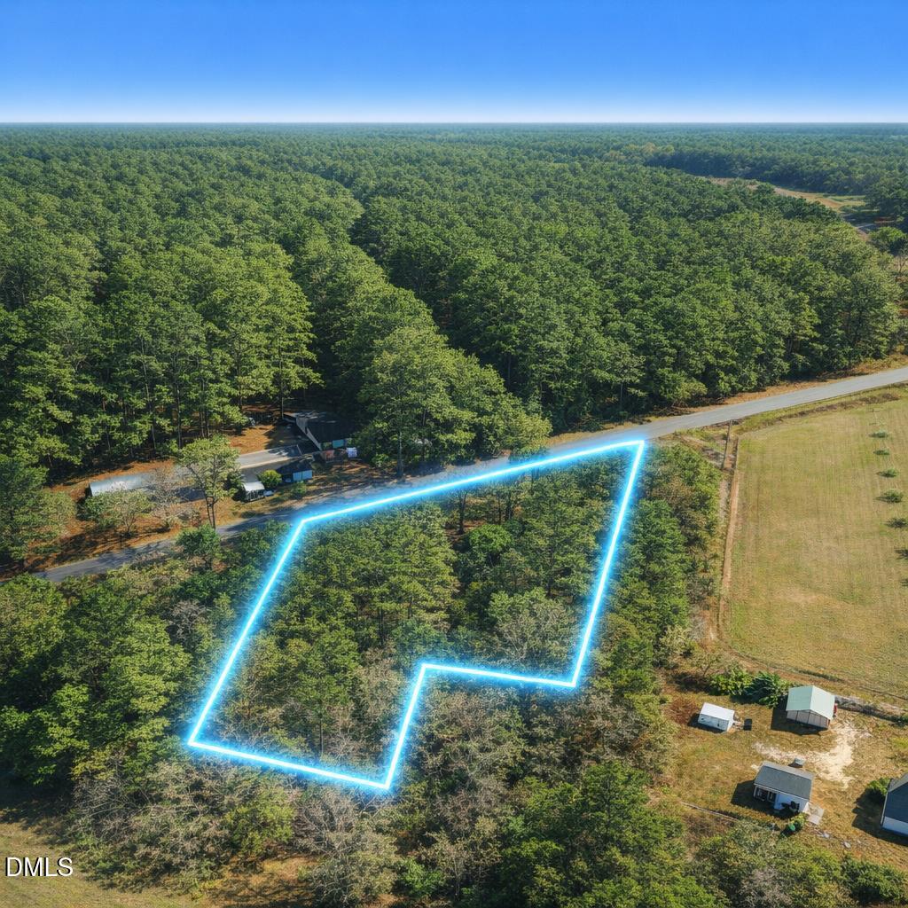 Exterior photo of 0 Otis Donnell Nixon Road, Evergreen, NC 28438. MLS: 10184980