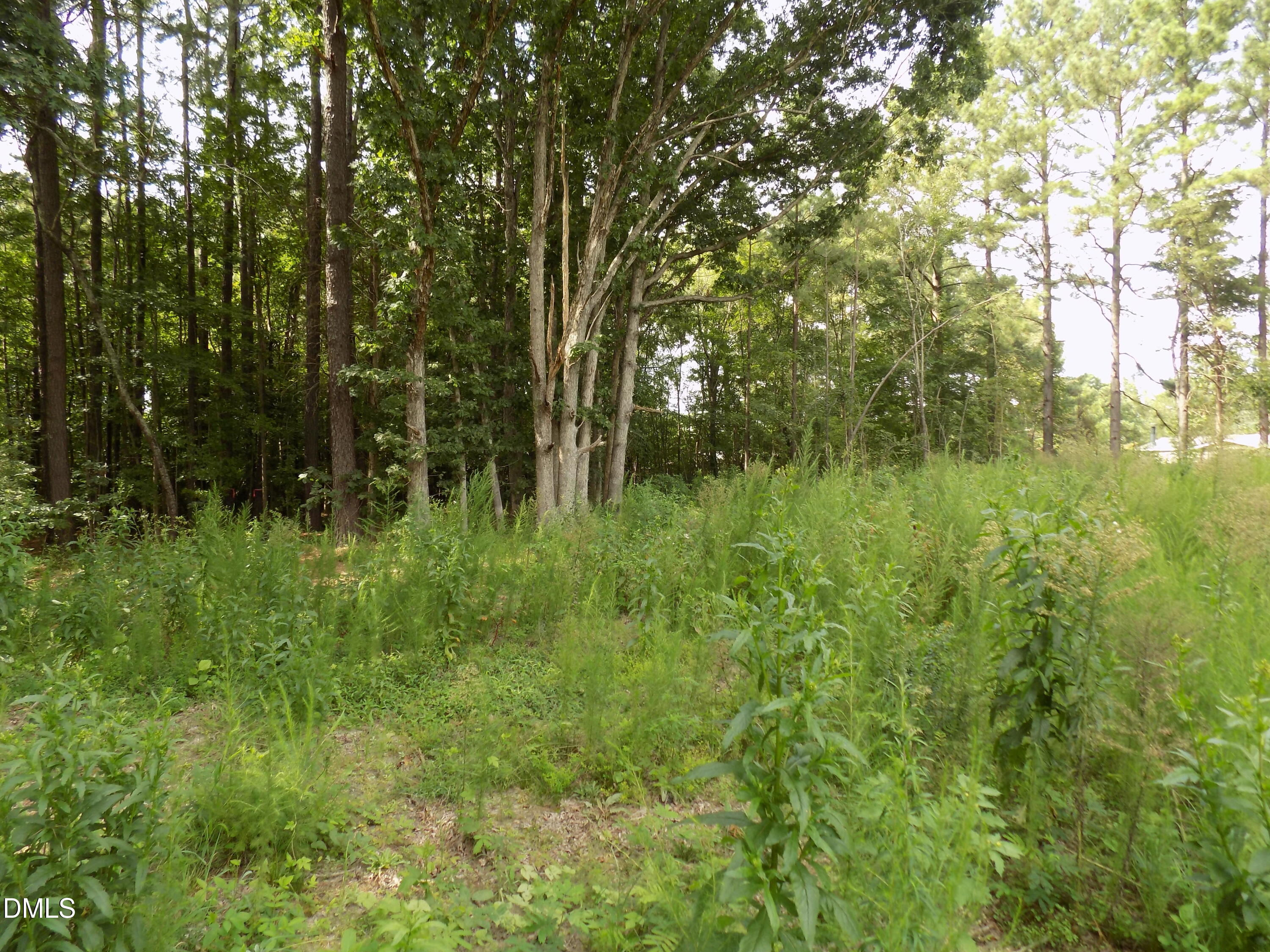 Exterior photo of 4009 Us 401 N, Louisburg, NC 27549. MLS: 10183722