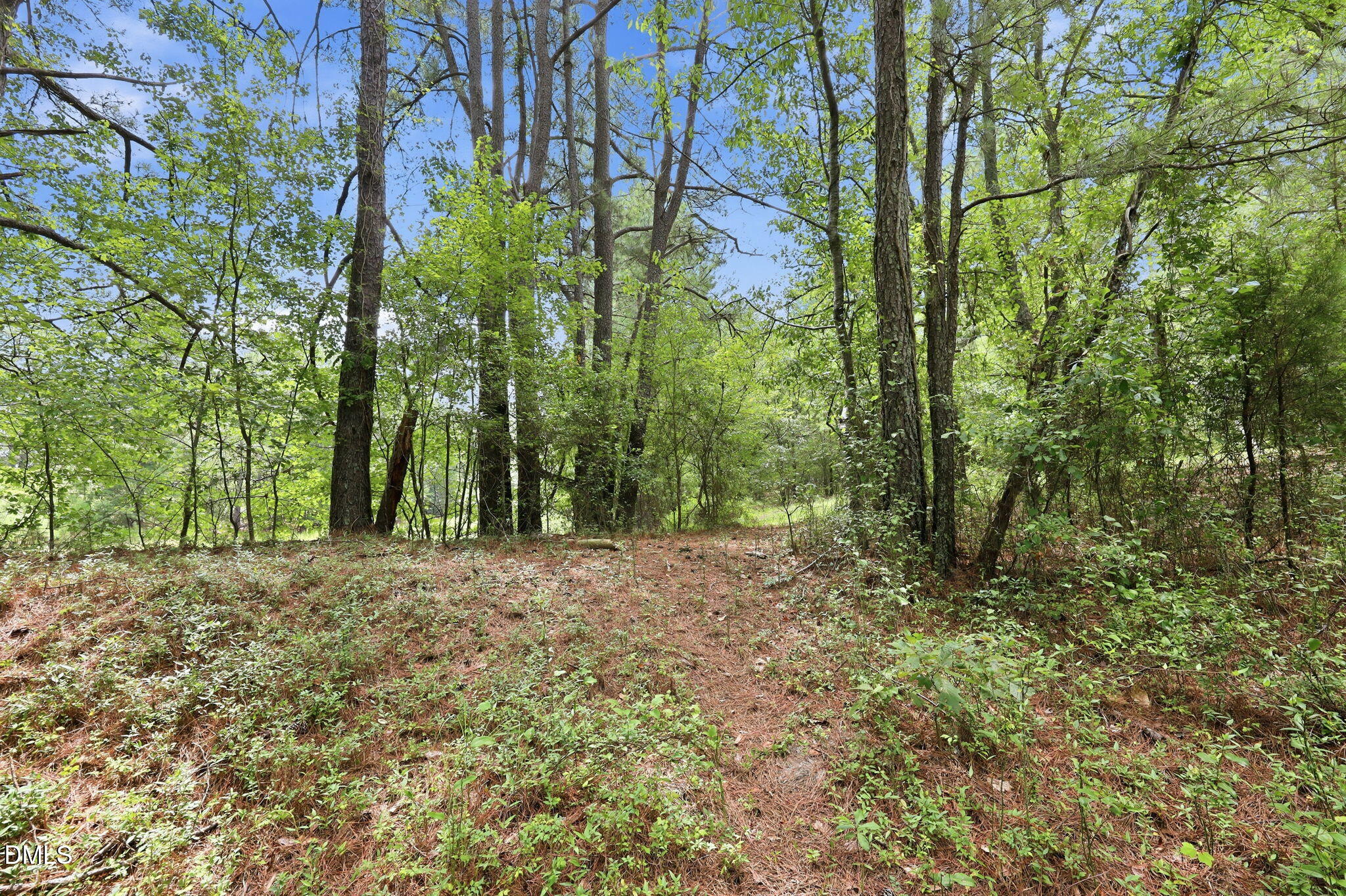 Exterior photo of 164 Zollie Lane, Cameron, NC 28326. MLS: 10184316