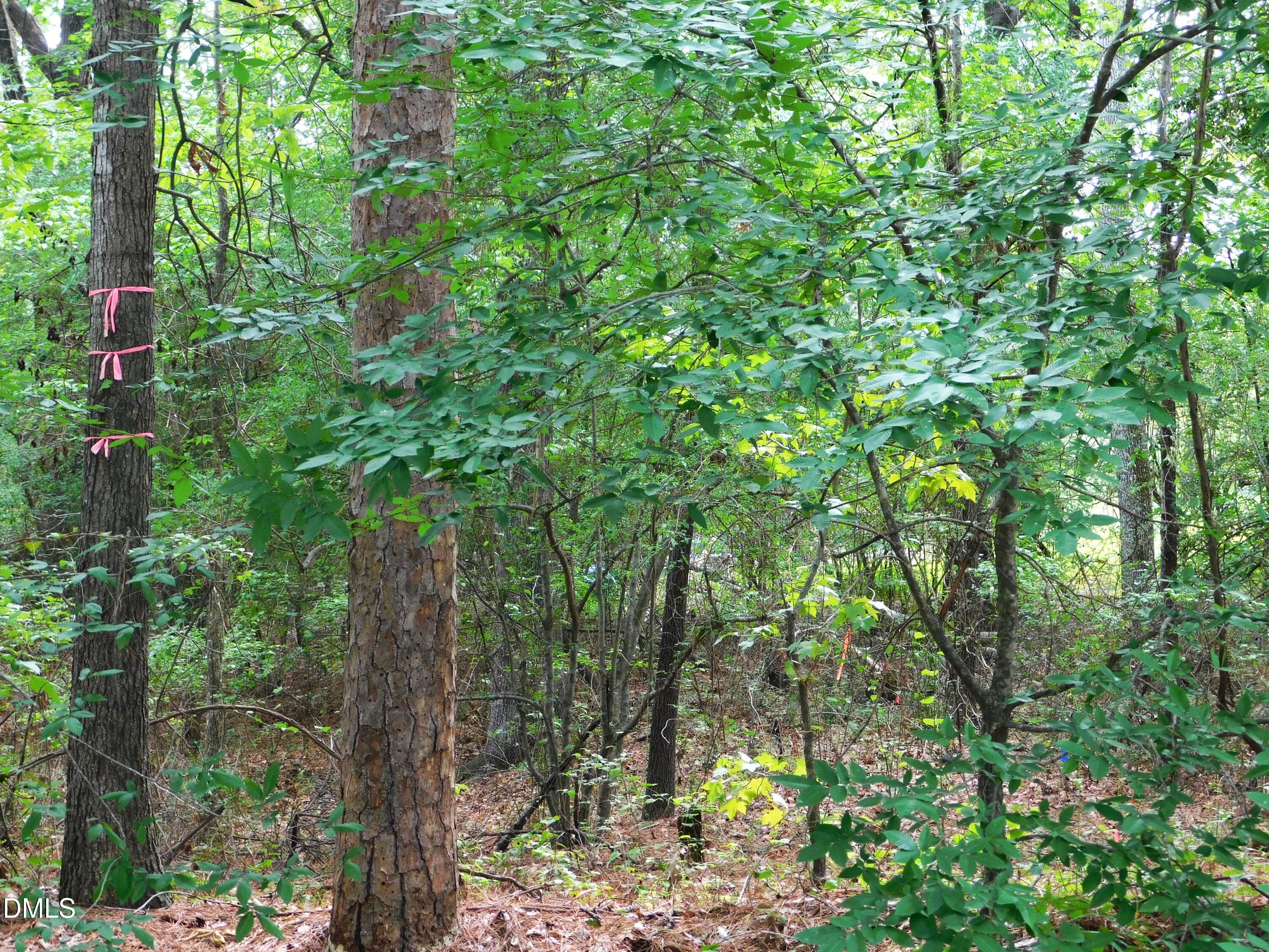 Exterior photo of 4815 Redwood Road, Durham, NC 27704. MLS: 10182033