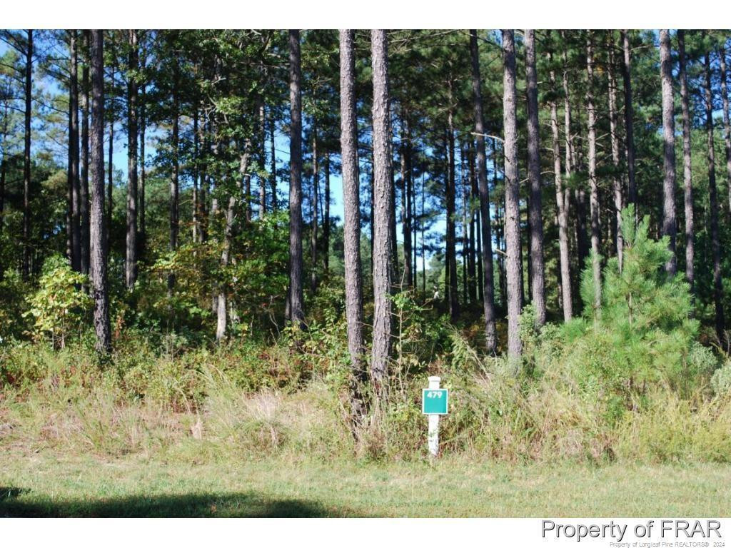 Exterior photo of 45 Broadlake (479) Lane, Spring Lake, NC 28390. MLS: 734553