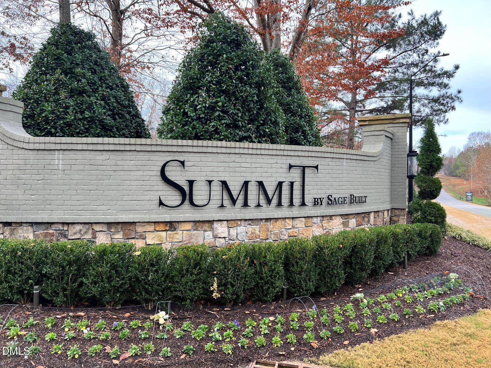 Summit entry email pic