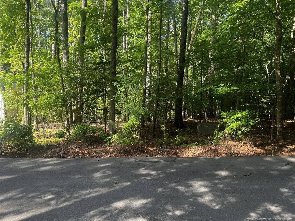 Exterior photo of 992 Whistling Wind, Sanford, NC 27332. MLS: 762323