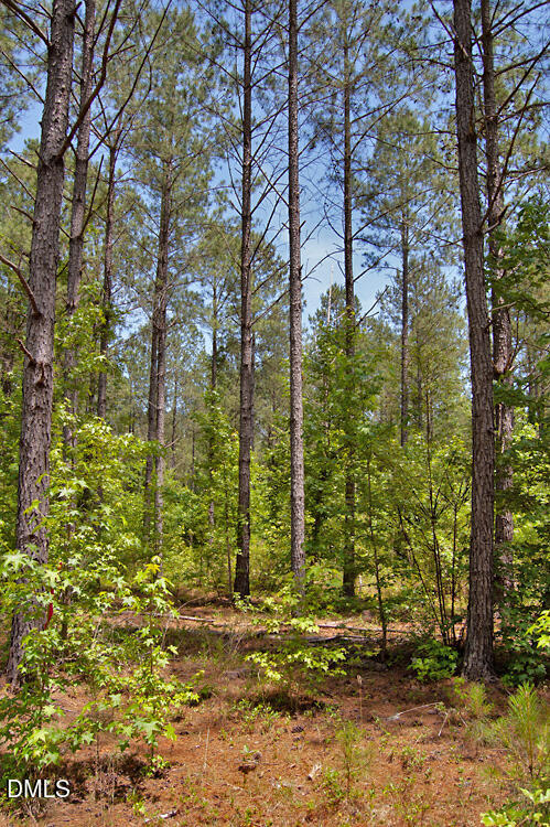 Exterior photo of E G F Ball Road, Louisburg, NC 27549. MLS: 10173055