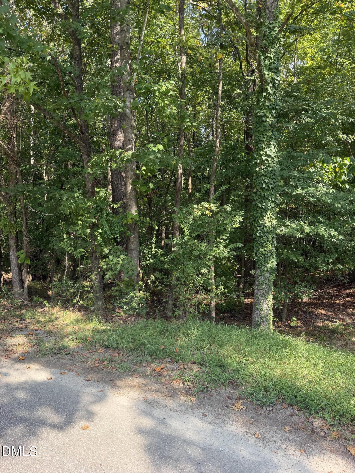 Exterior photo of 176 Alan Lane, Clayton, NC 27520. MLS: 10193570