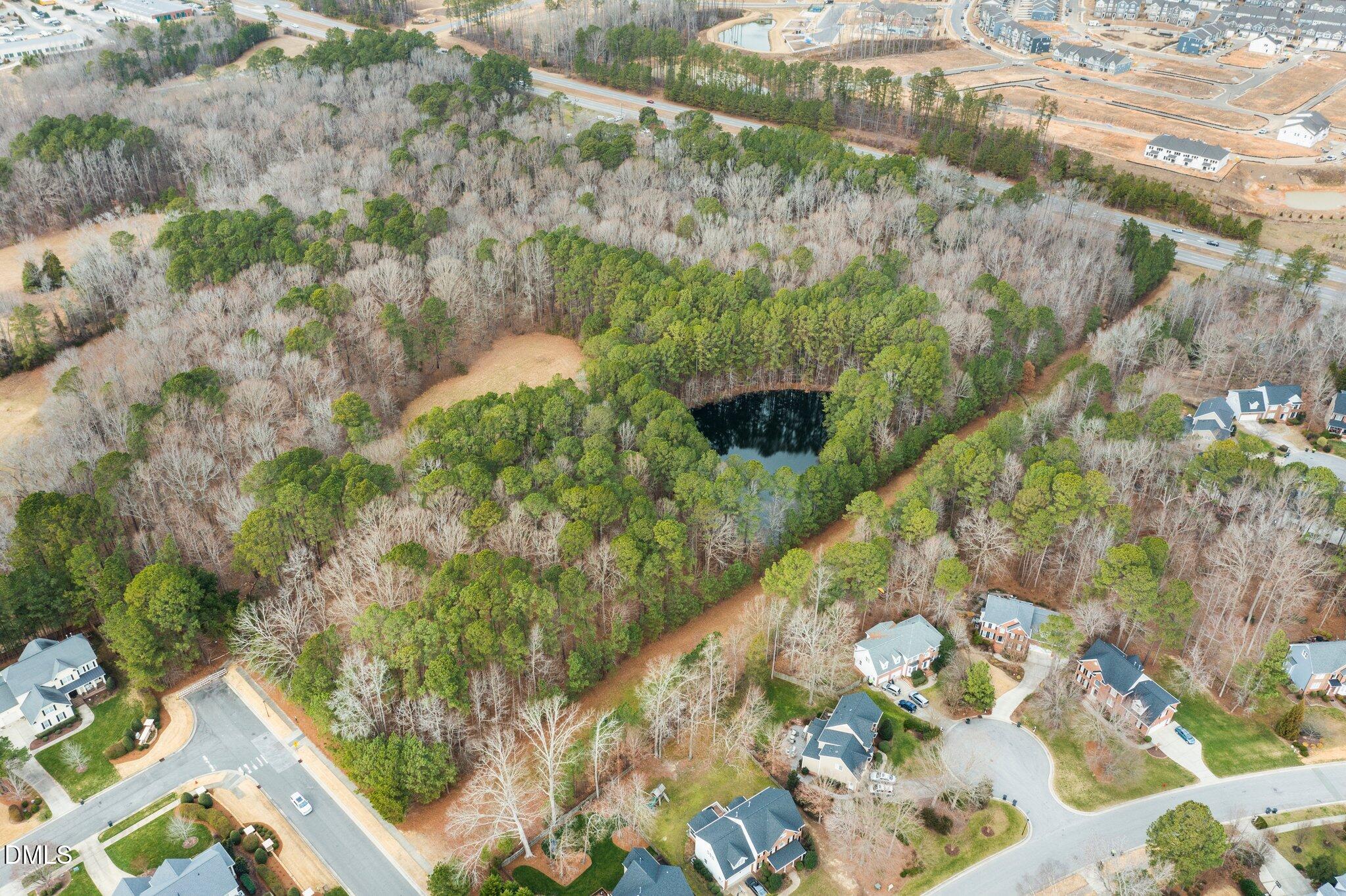 1-web-or-mls-DJI_0751