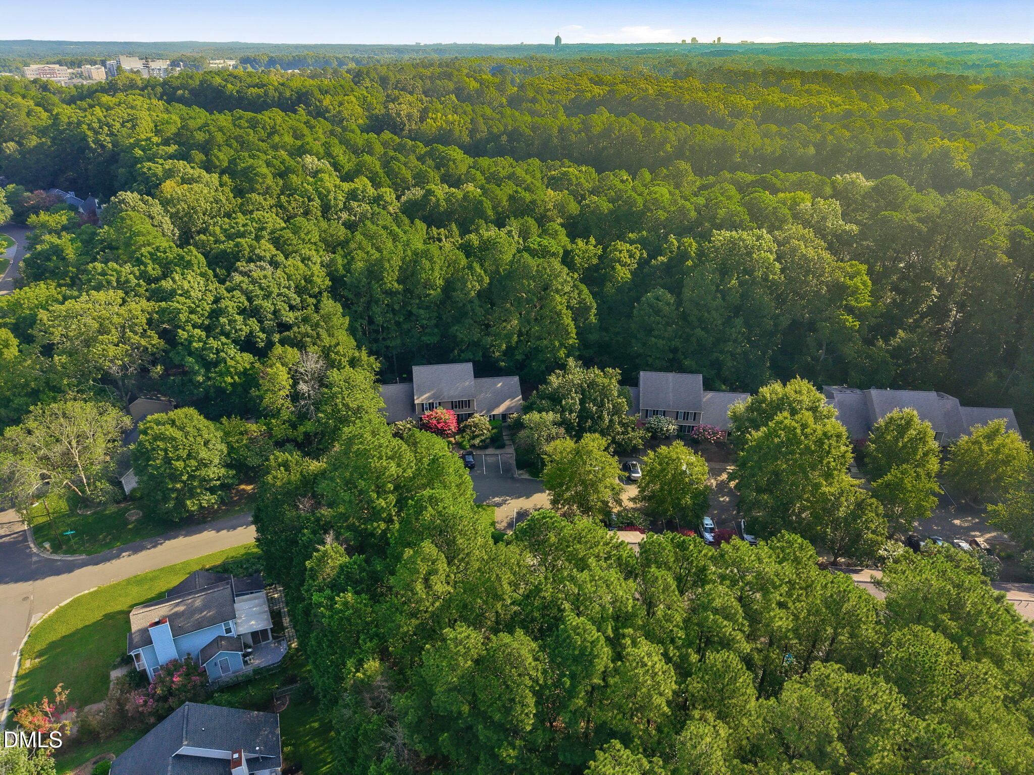 Exterior photo of 4 Crystal Oaks Court, Durham, NC 27707. MLS: 10187936