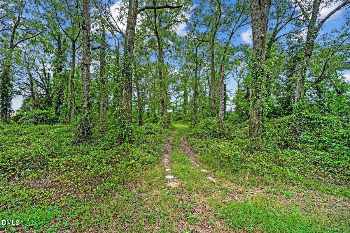 Exterior photo of 0 Holt Road, Princeton, NC 27569. MLS: 10196282