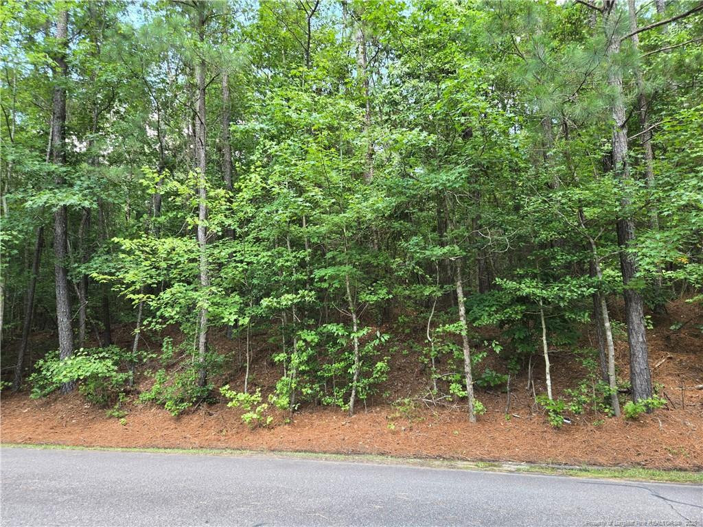 Exterior photo of 893 Loblolly Drive, Woodlake, NC 28394. MLS: 750304