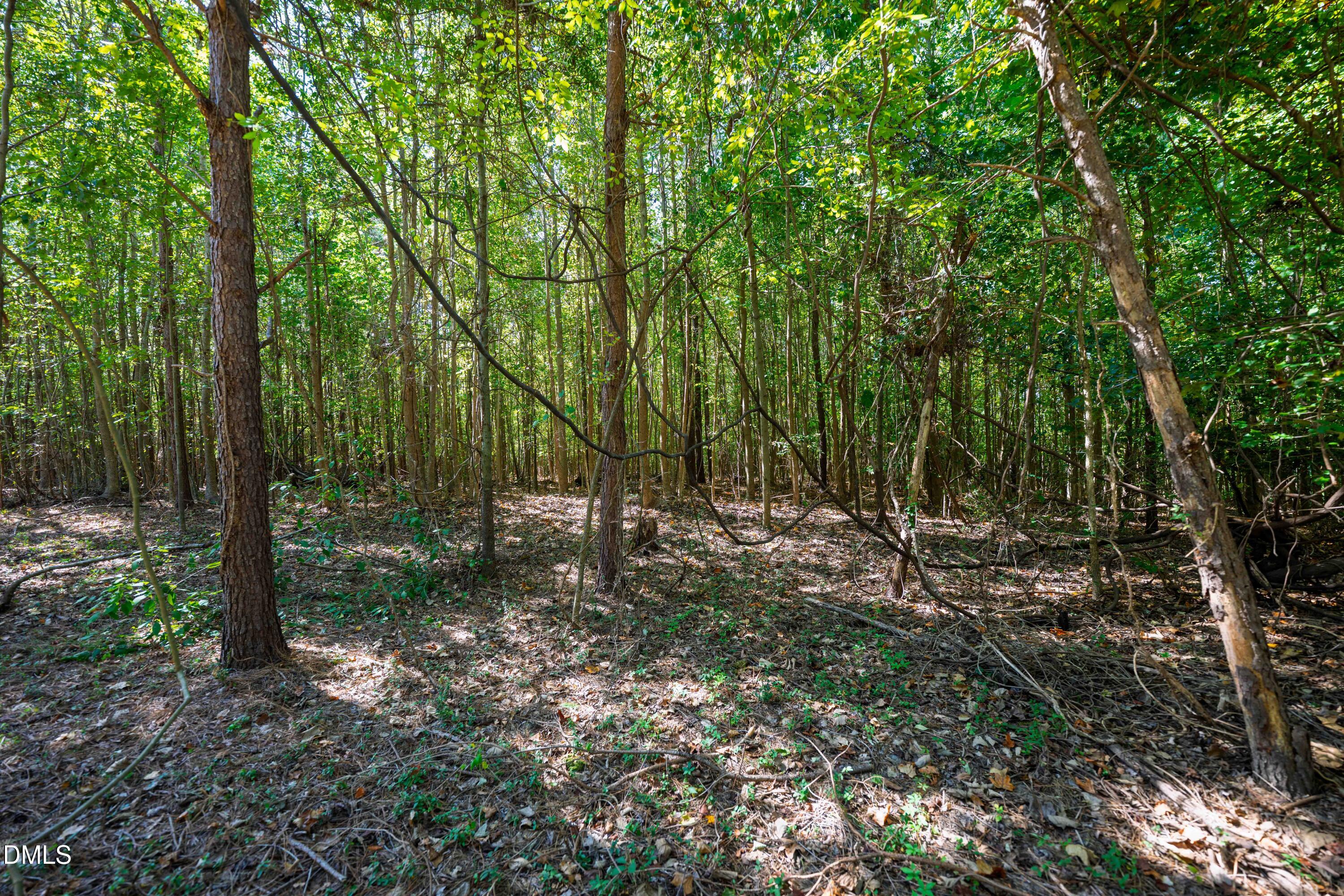Exterior photo of 0 Buckhorn Road, Sanford, NC 27330. MLS: 10195812
