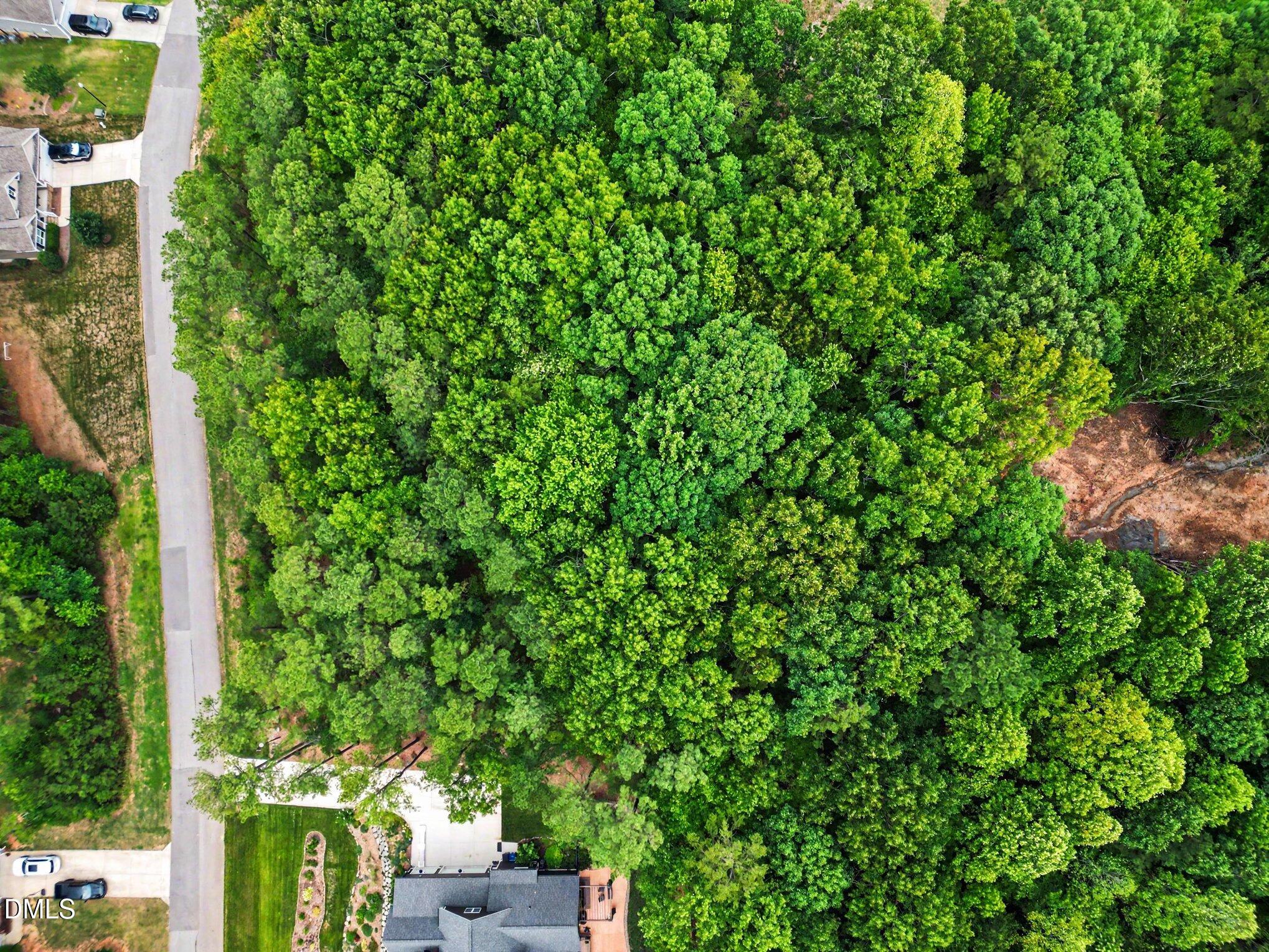 Exterior photo of 9004 Patmos Way, Wake Forest, NC 27587. MLS: 10177356