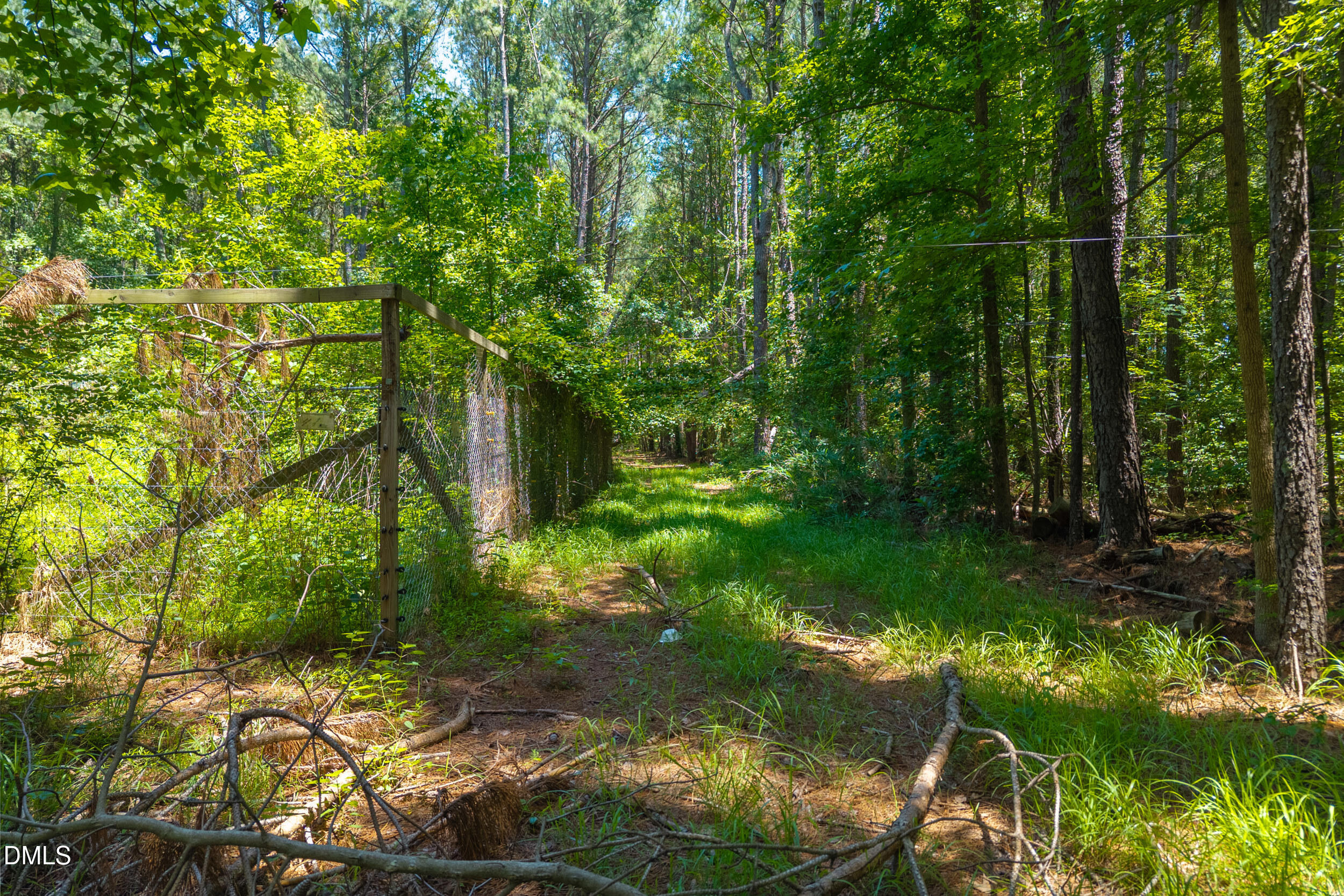 Wooded Lot