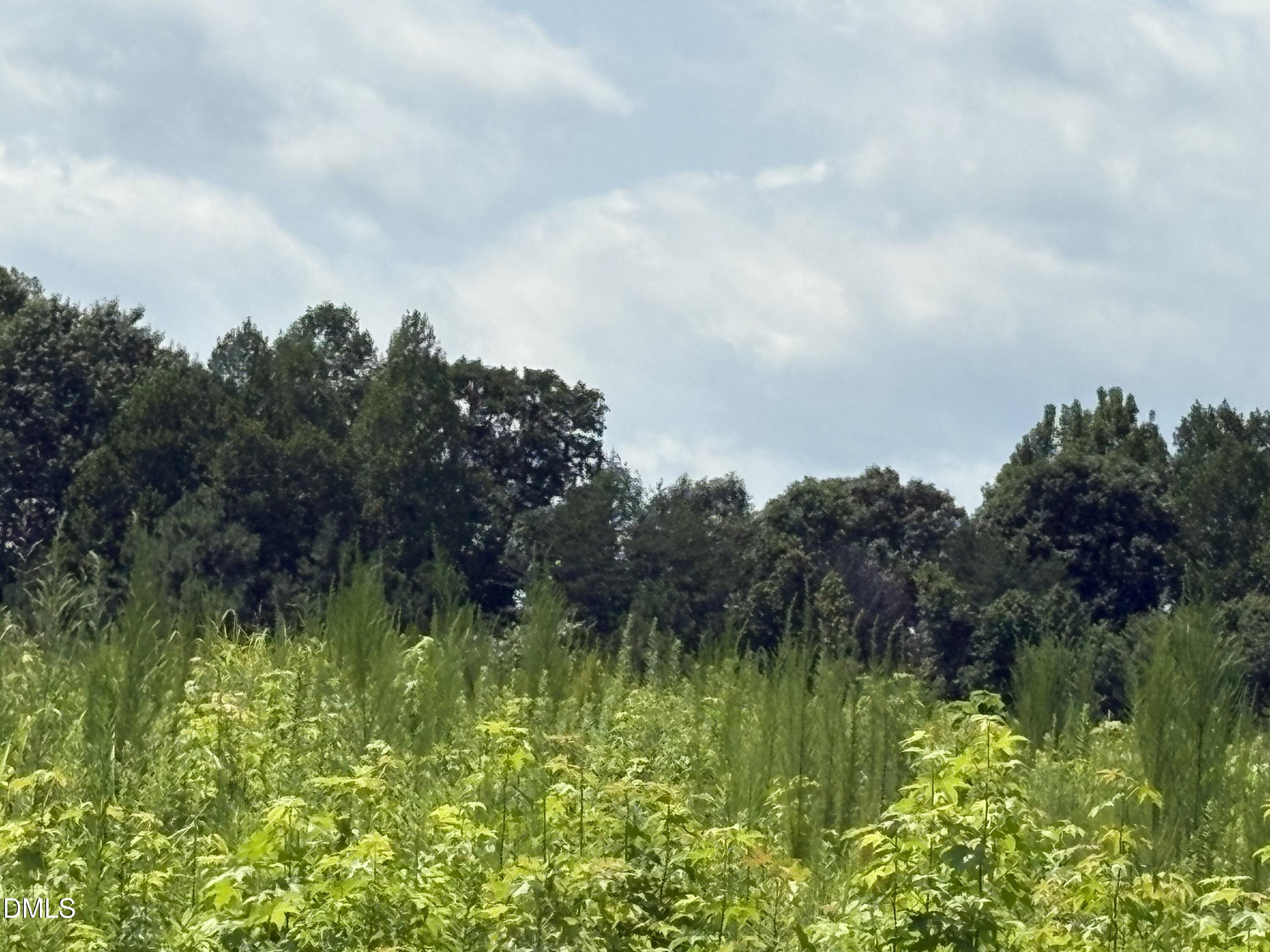 Exterior photo of Lot 2 Sams Road, Mebane, NC 27302. MLS: 10187717
