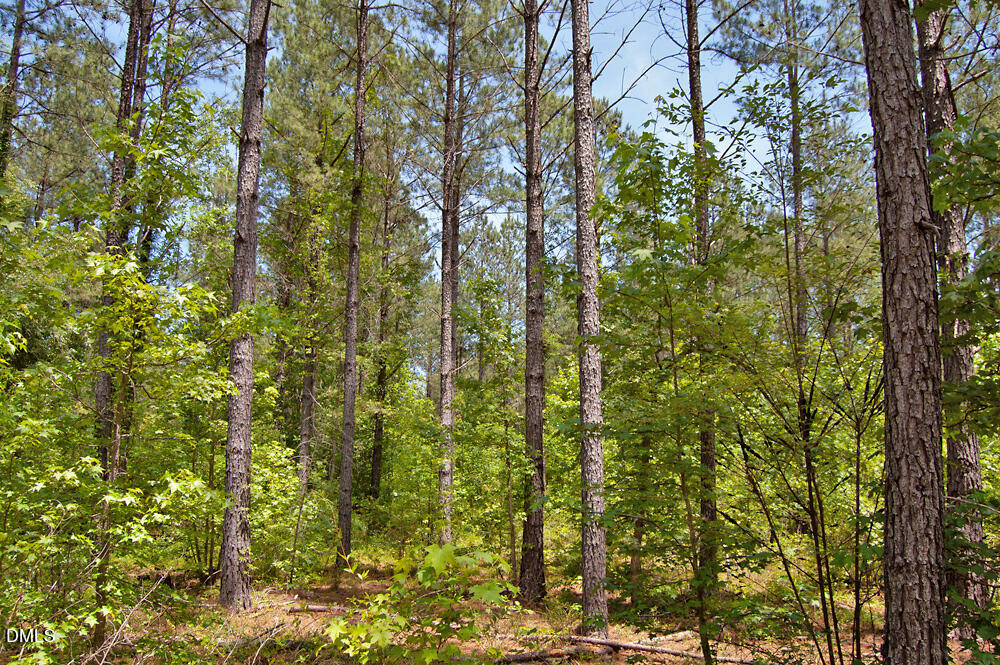 Exterior photo of H G F Ball Road, Louisburg, NC 27549. MLS: 10173657