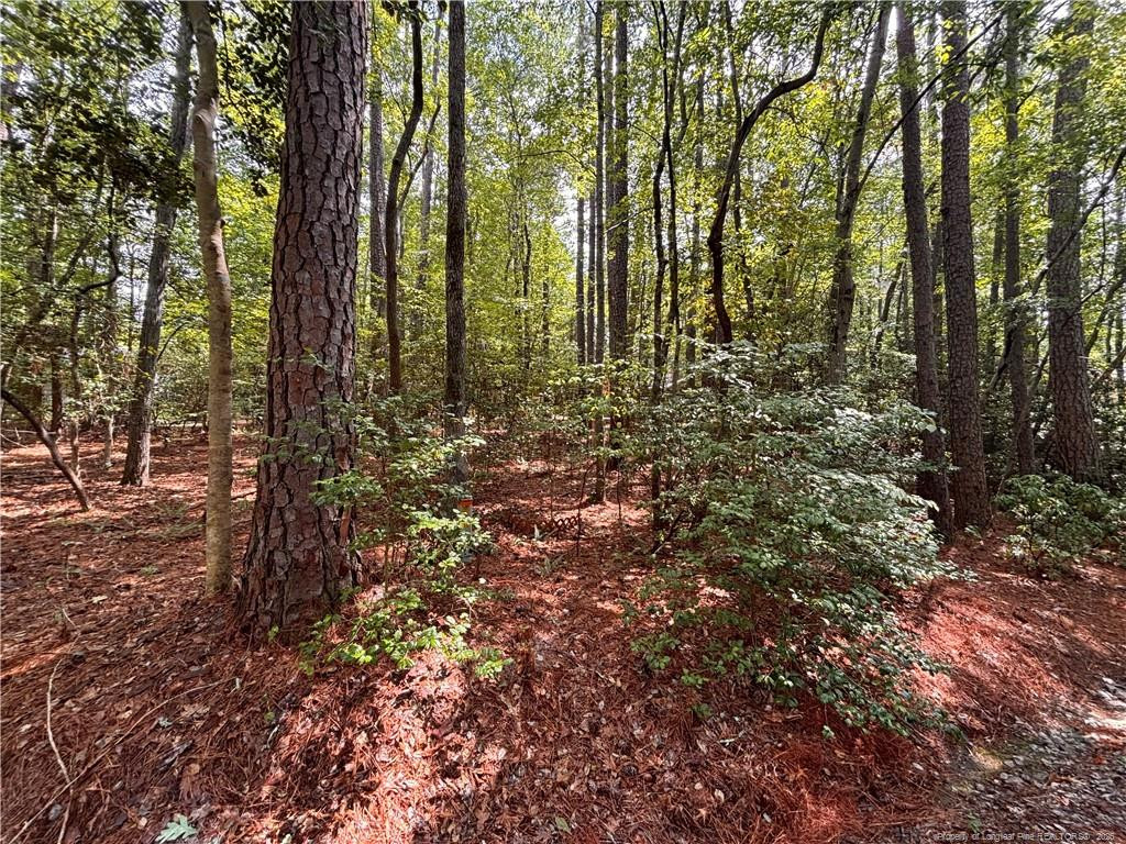 Exterior photo of 1452 CAROLINA Drive, Sanford, NC 27332. MLS: 767983