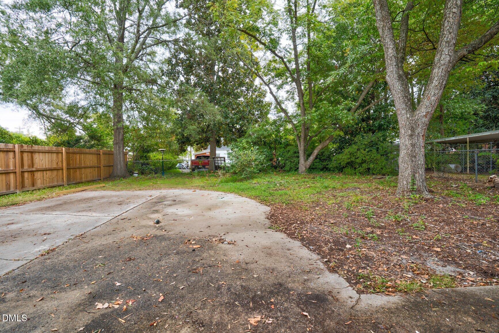 Back Yard