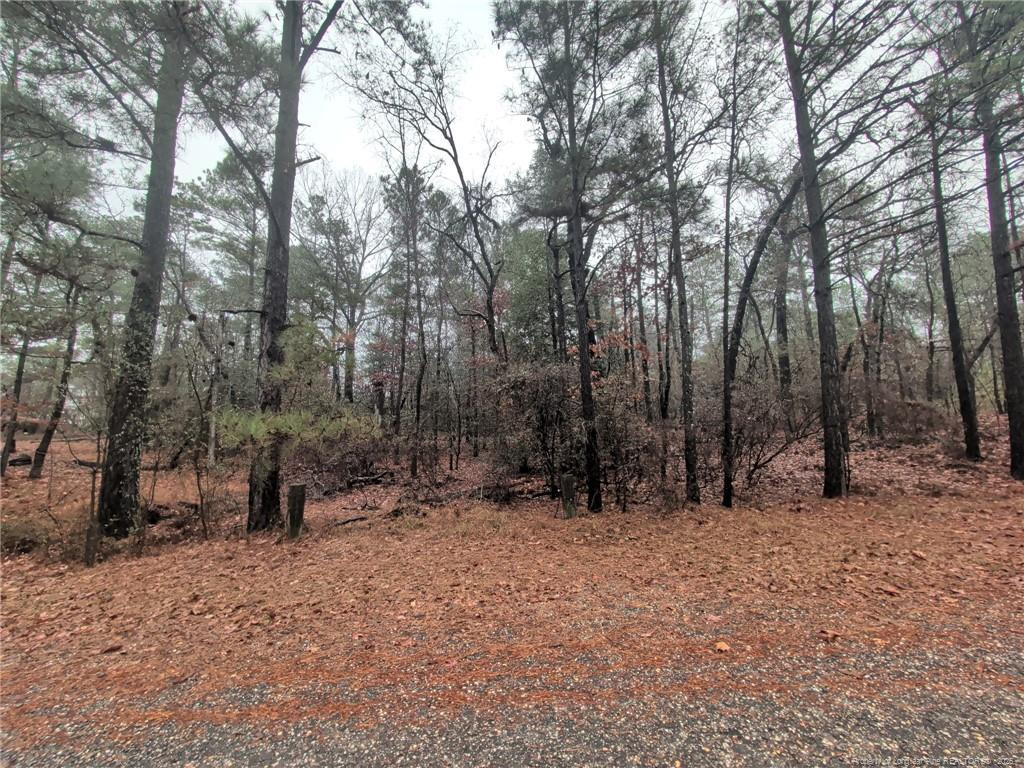 Exterior photo of 1211 Laurel Circle, Vass, NC 28394. MLS: 754765