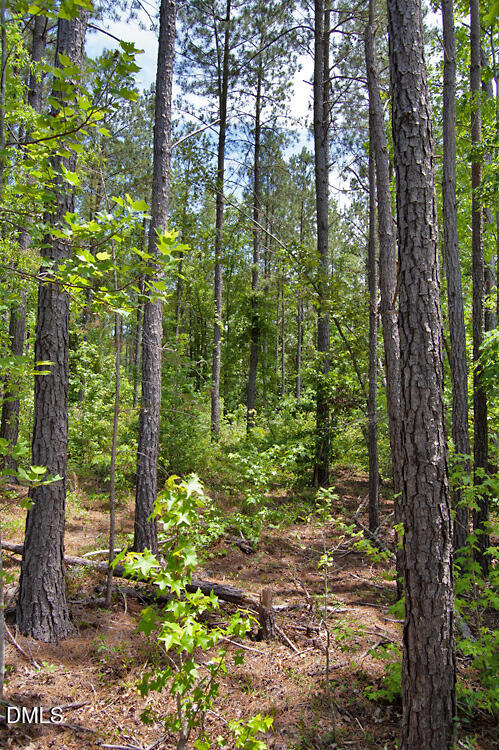 Exterior photo of I G F Ball Road, Louisburg, NC 27549. MLS: 10173662