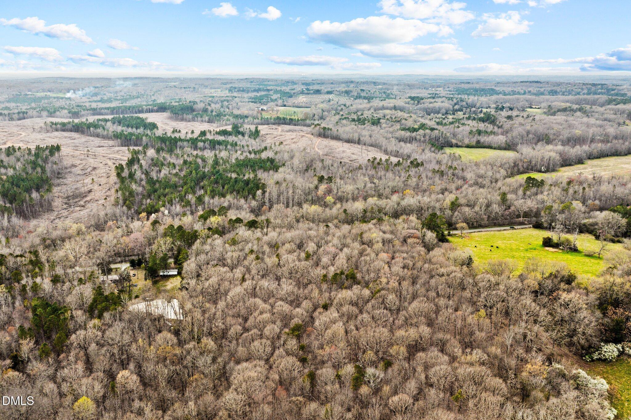 11-web-or-mls-DJI_0213