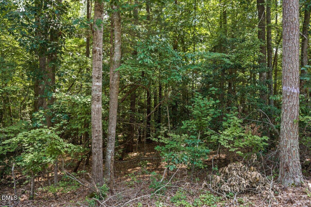 Exterior photo of 00 S Holiday Drive, Macon, NC 27551. MLS: 10182994