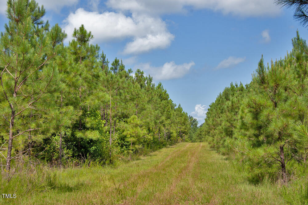 Exterior photo of 0 Buckhorn Road, Bullock, NC 27507. MLS: 10188037