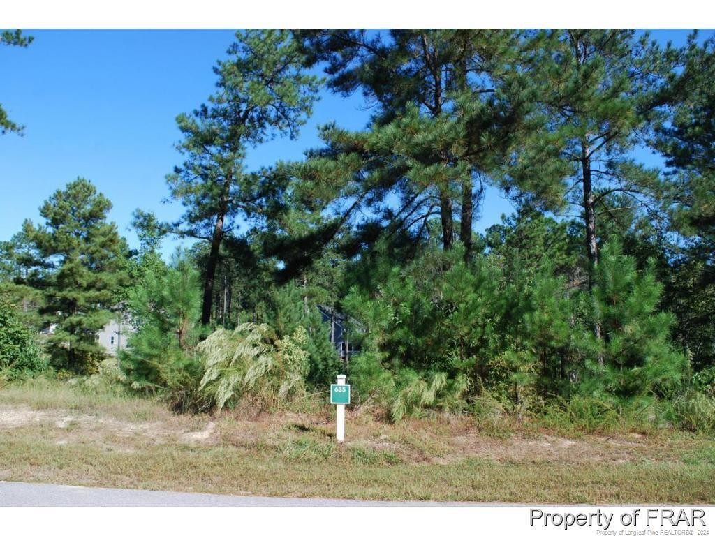 Exterior photo of 152 Broadlake (635) Lane, Spring Lake, NC 28390. MLS: 734552