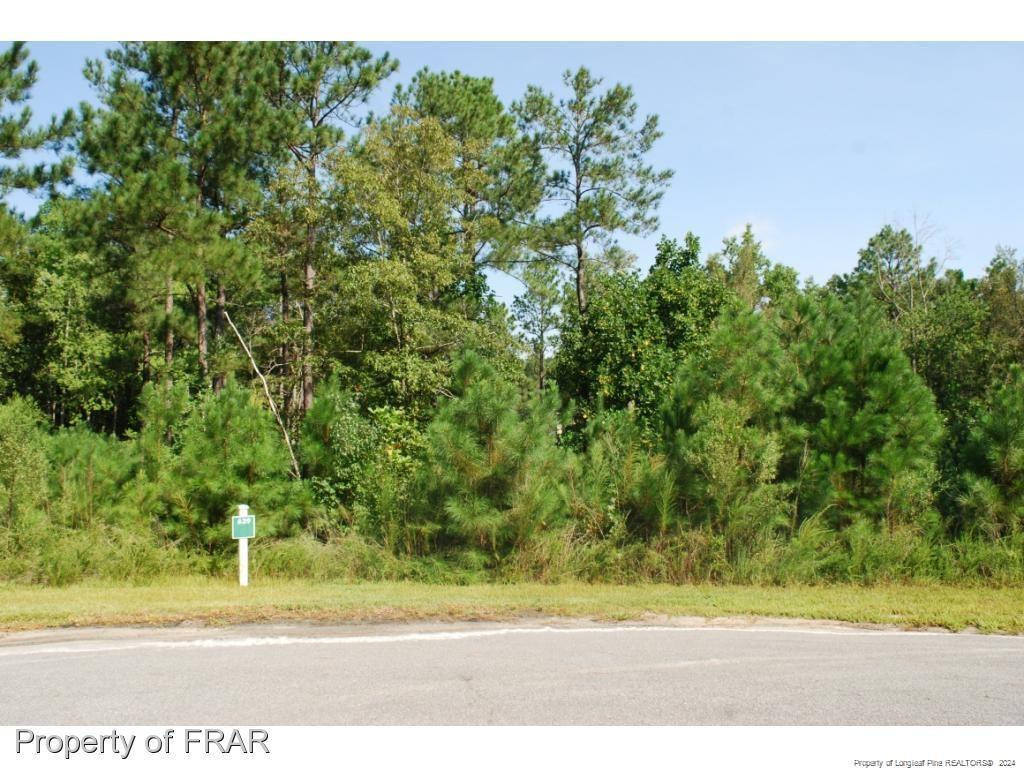 Exterior photo of 222 Broadlake (639) Lane, Spring Lake, NC 28390. MLS: 734544