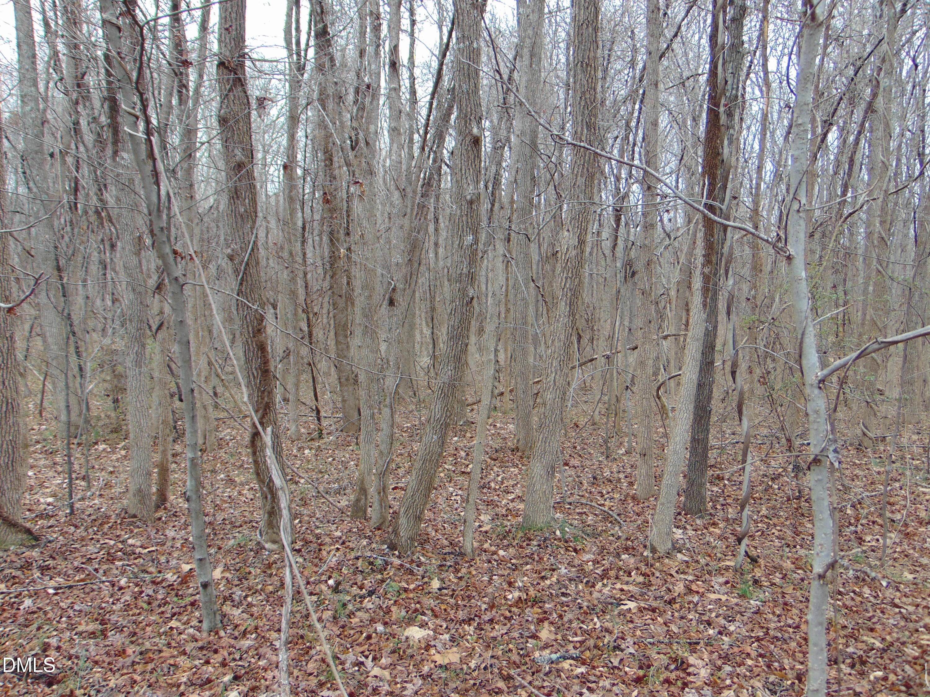 DSC01436