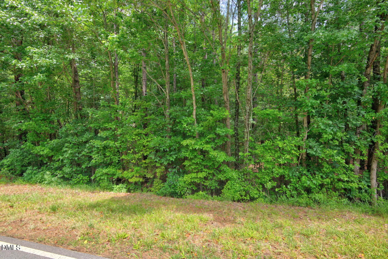 Exterior photo of 0000 Dodsons Crossroads, Hillsborough, NC 27278. MLS: 10178728