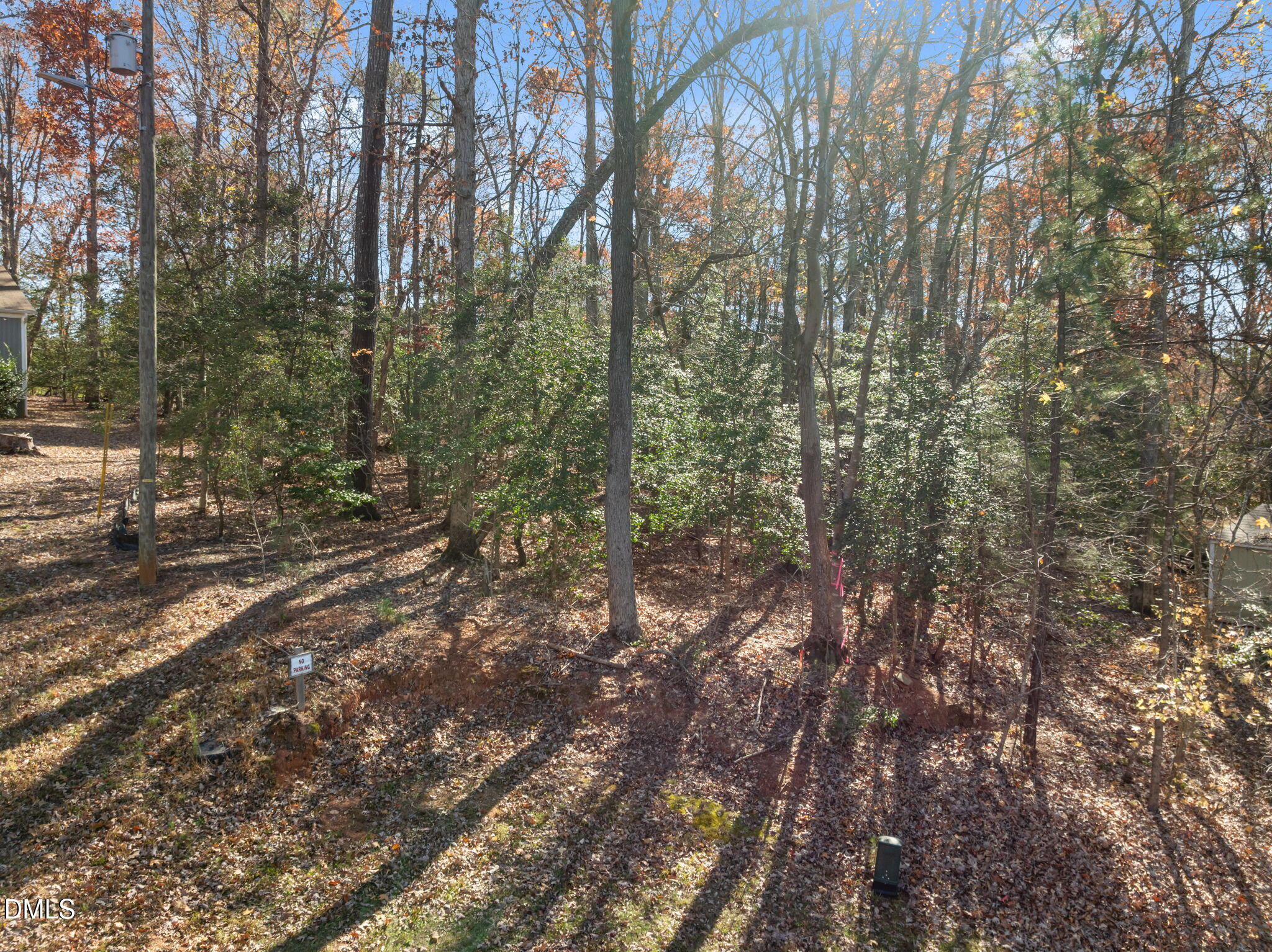 6-web-or-mls-DJI_0185