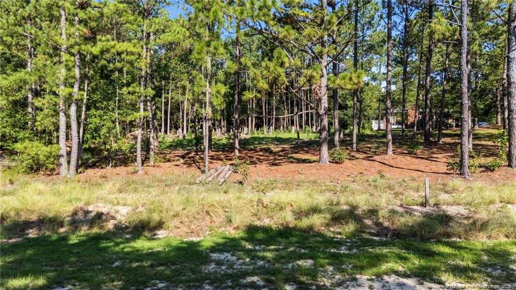 Exterior photo of 180 Richmond Street, West End, NC 27376. MLS: 747441