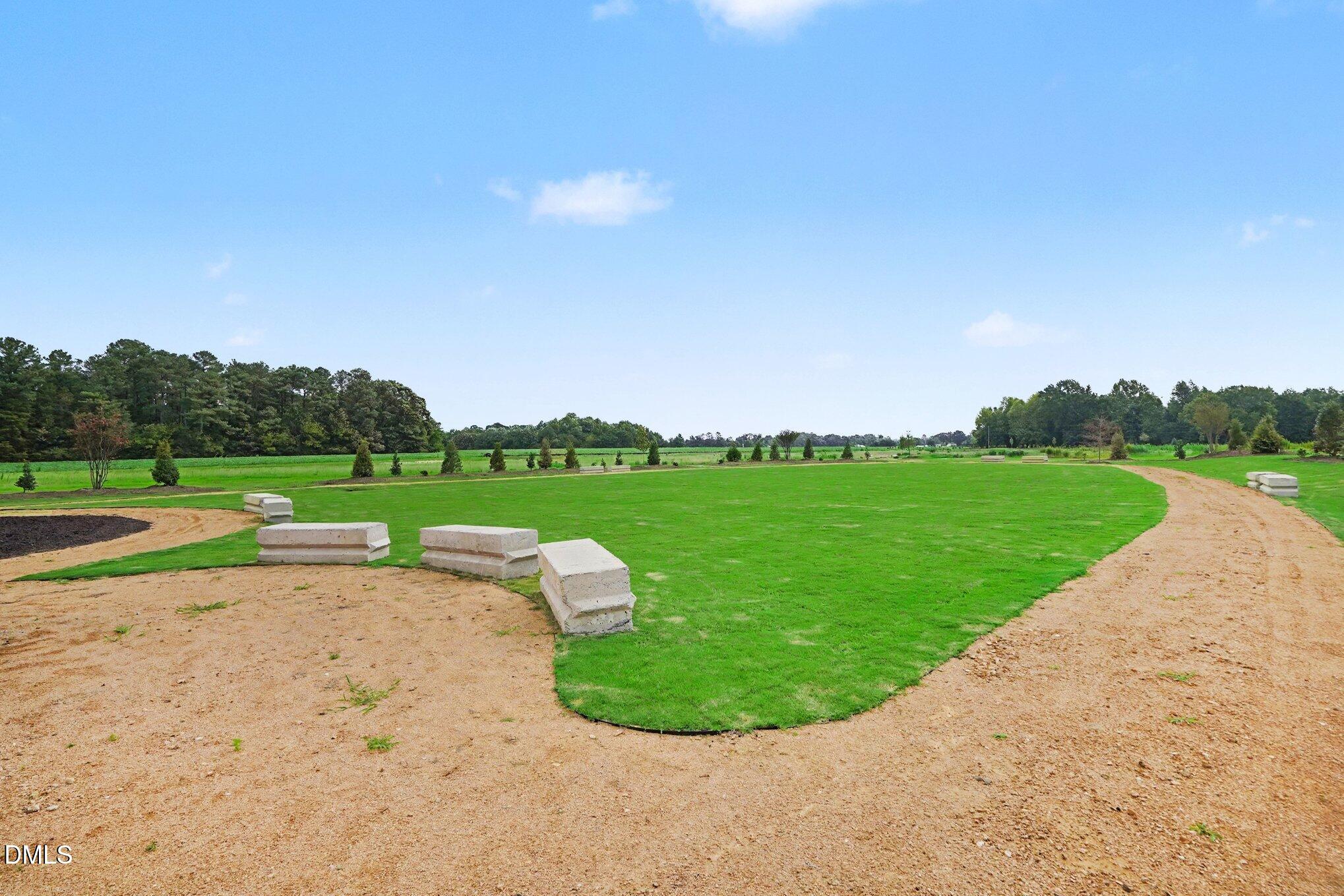 Exterior photo of 262 Pierre Drive (lot 46), Benson, NC 27504. MLS: 10162531