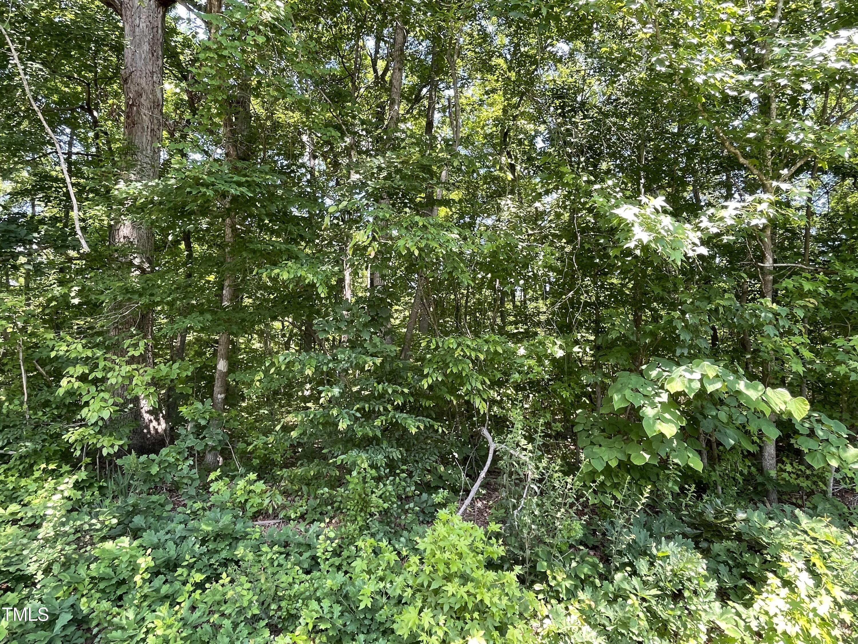 Exterior photo of 0000-3 Shady Lane, Burlington, NC 27217. MLS: 10185517