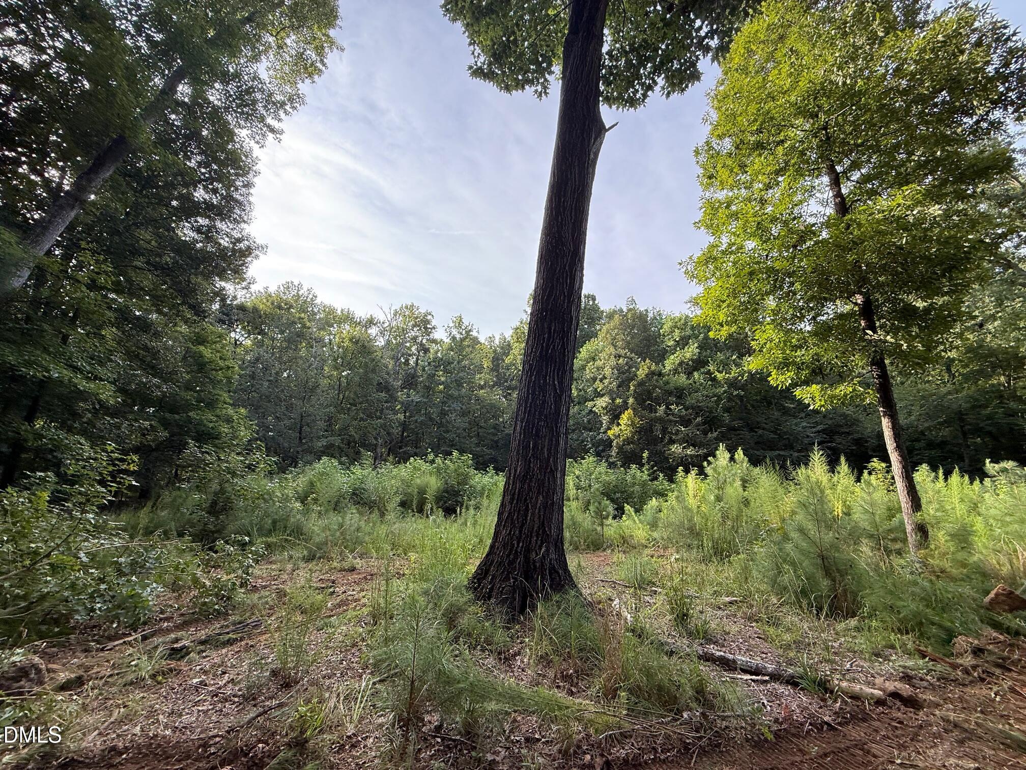 Exterior photo of Lot 1 Orange Grv Street, Hillsborough, NC 27278. MLS: 10178047