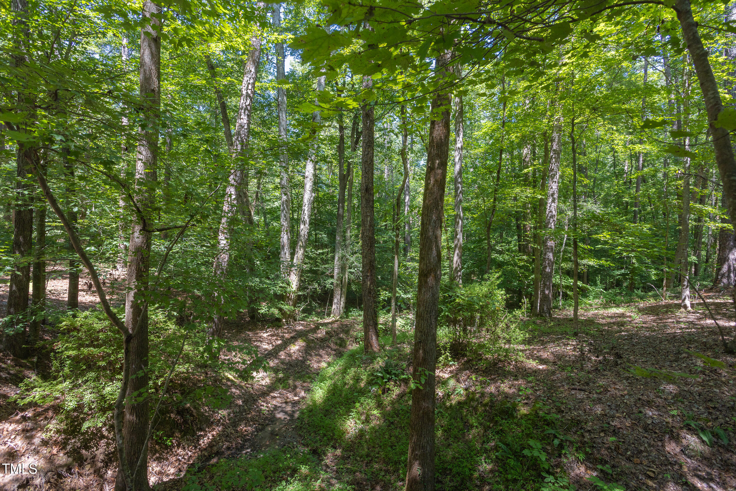 4519_Chicopee_MLS-7
