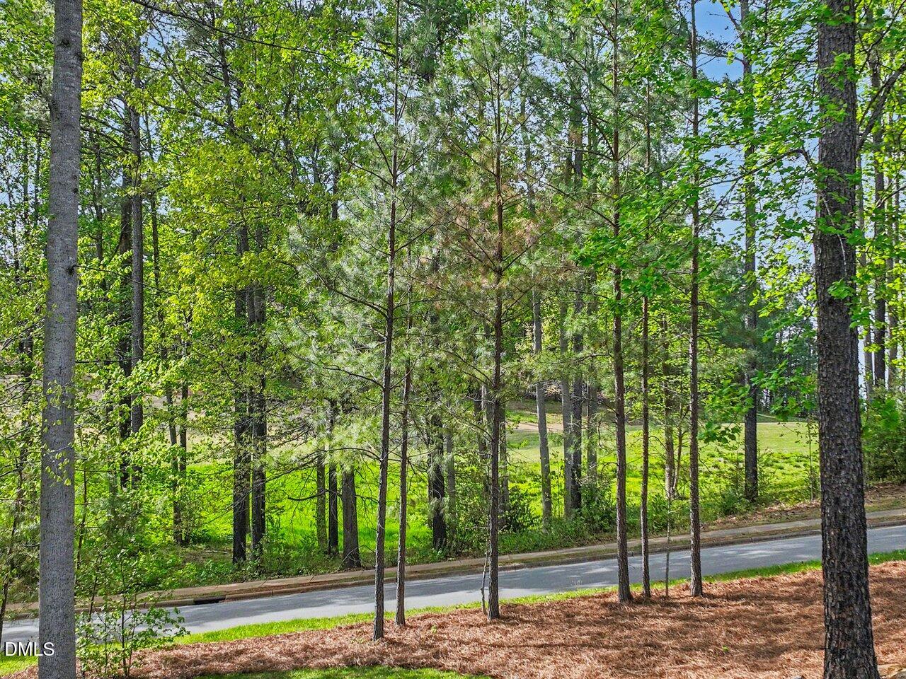 Across from Golf Course 3