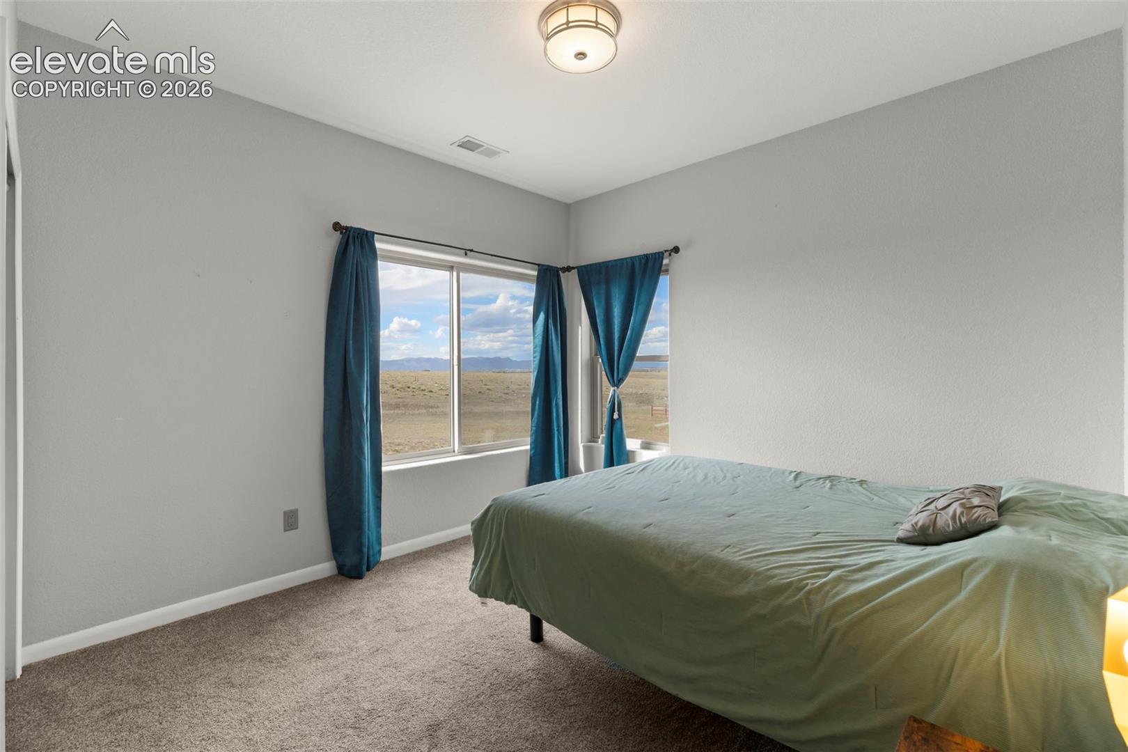Neutral interior featuring wall-to-wall carpeting, dual-pane windows, and a flush-mount ceiling light fixture