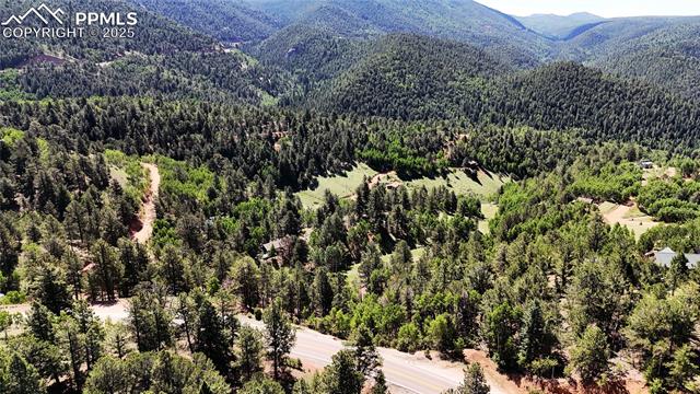281 Pikes Peak Dr, Divide, CO 80814