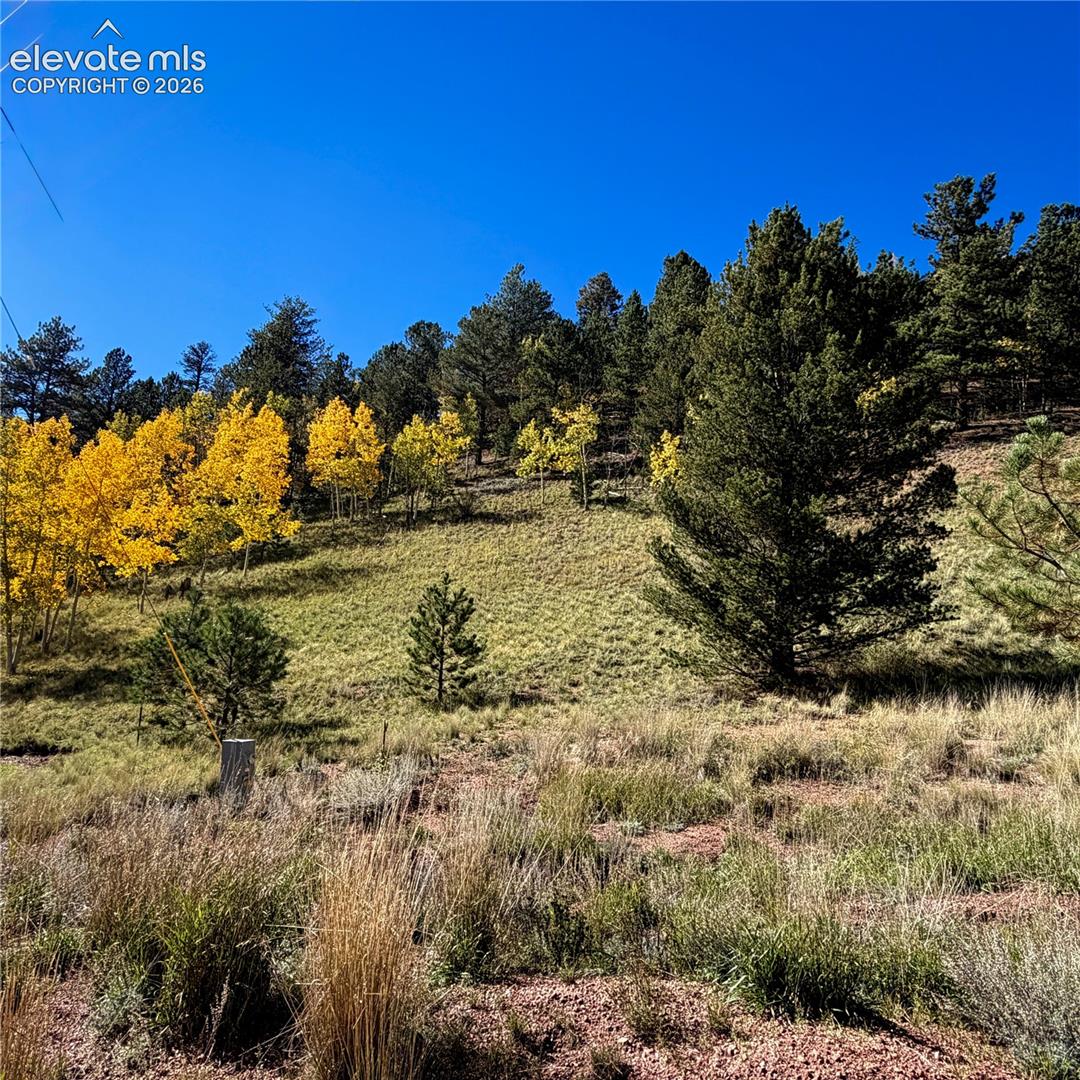 Photo 6 of 200 Beaver Pond Road, Divide