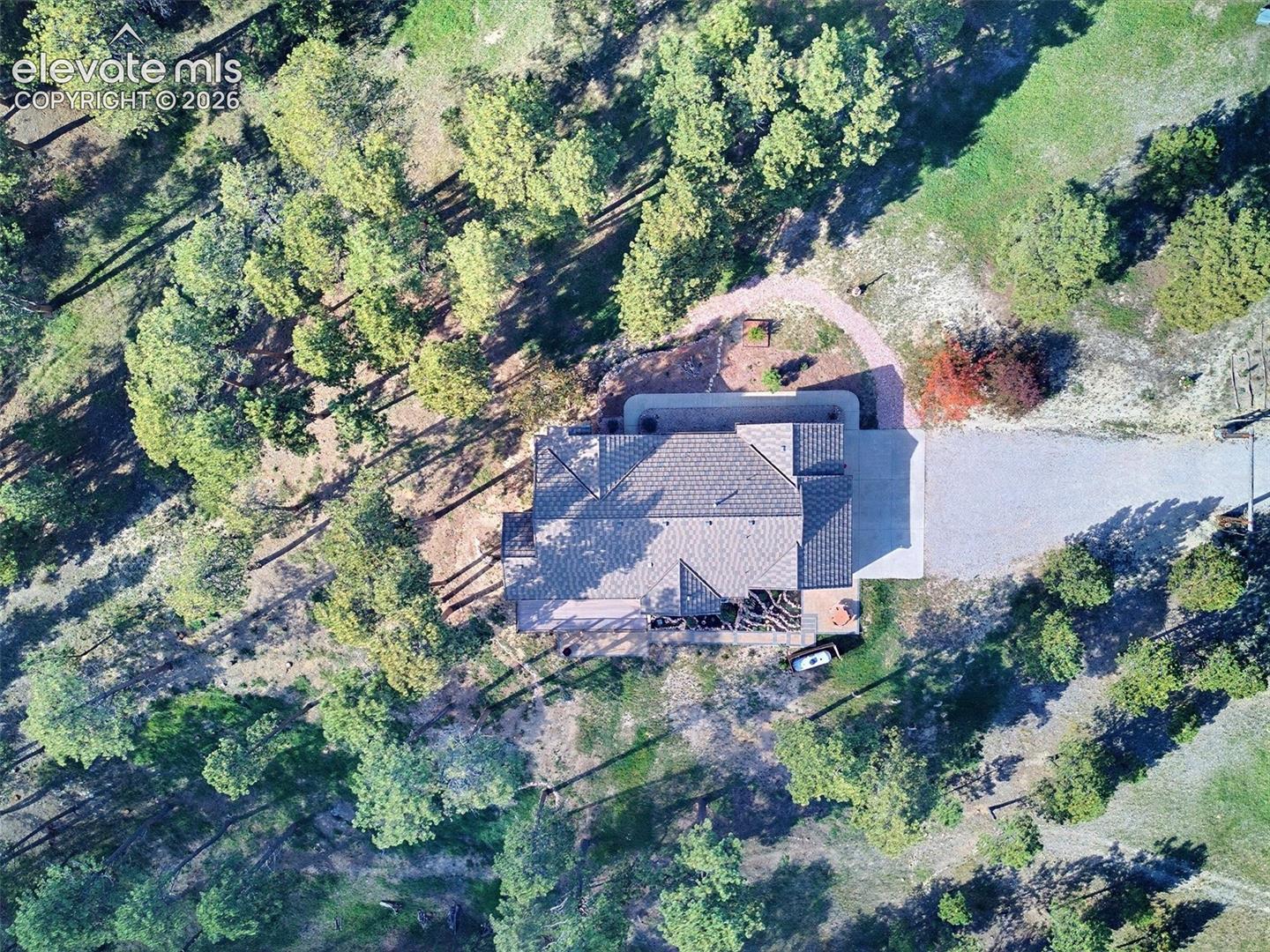 Nestled in the trees