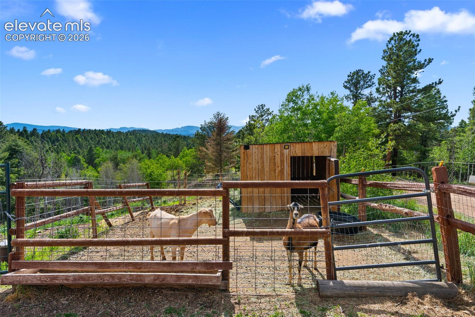 Goat pen