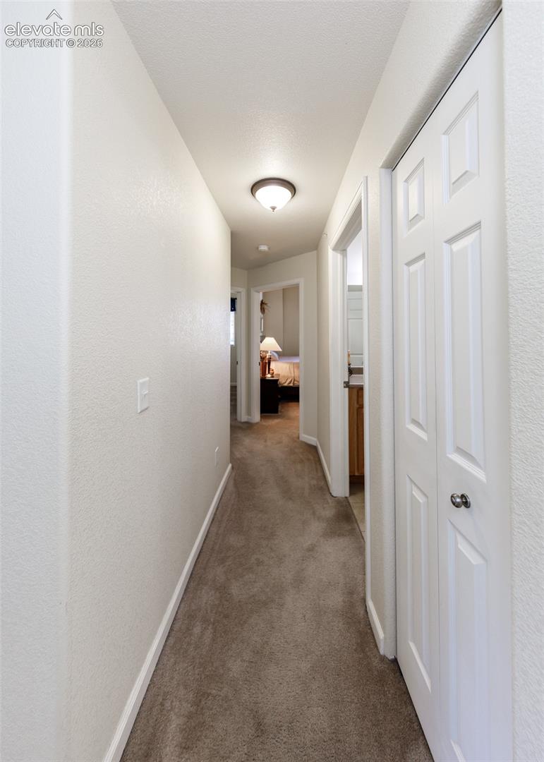 Hallway featuring wall-to-wall carpeting, neutral-toned walls, and a built-in closet with six-panel doors