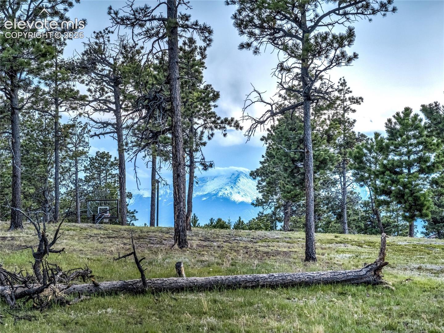 Photo 43 of 4735 Saxton Hollow Road, Colorado Springs